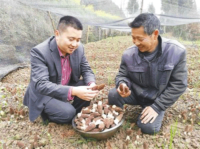 李宝（左）正在了解村民种植羊肚菌的情况。资料图片