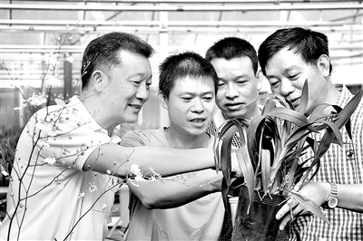 图为廖俊波（左一）带领农技人员帮助花农解决技术难题。（资料照片 吴隆重摄）
