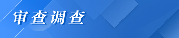 审查调查