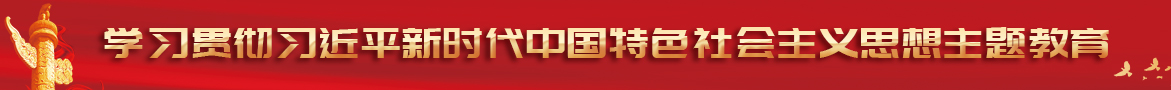 学习贯彻习近平新时代中国特色社会主义思想主题教育