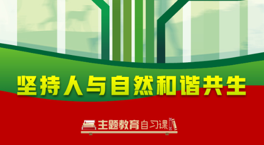 学习导图 | 坚持人与自然和谐共生